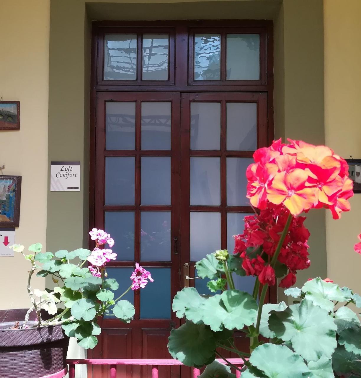 Casa Hotel Aroma 406 Puebla Zewnętrze zdjęcie